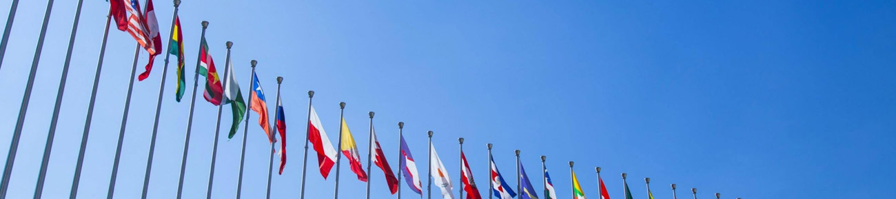 ANSI Regional/Bilateral Activities